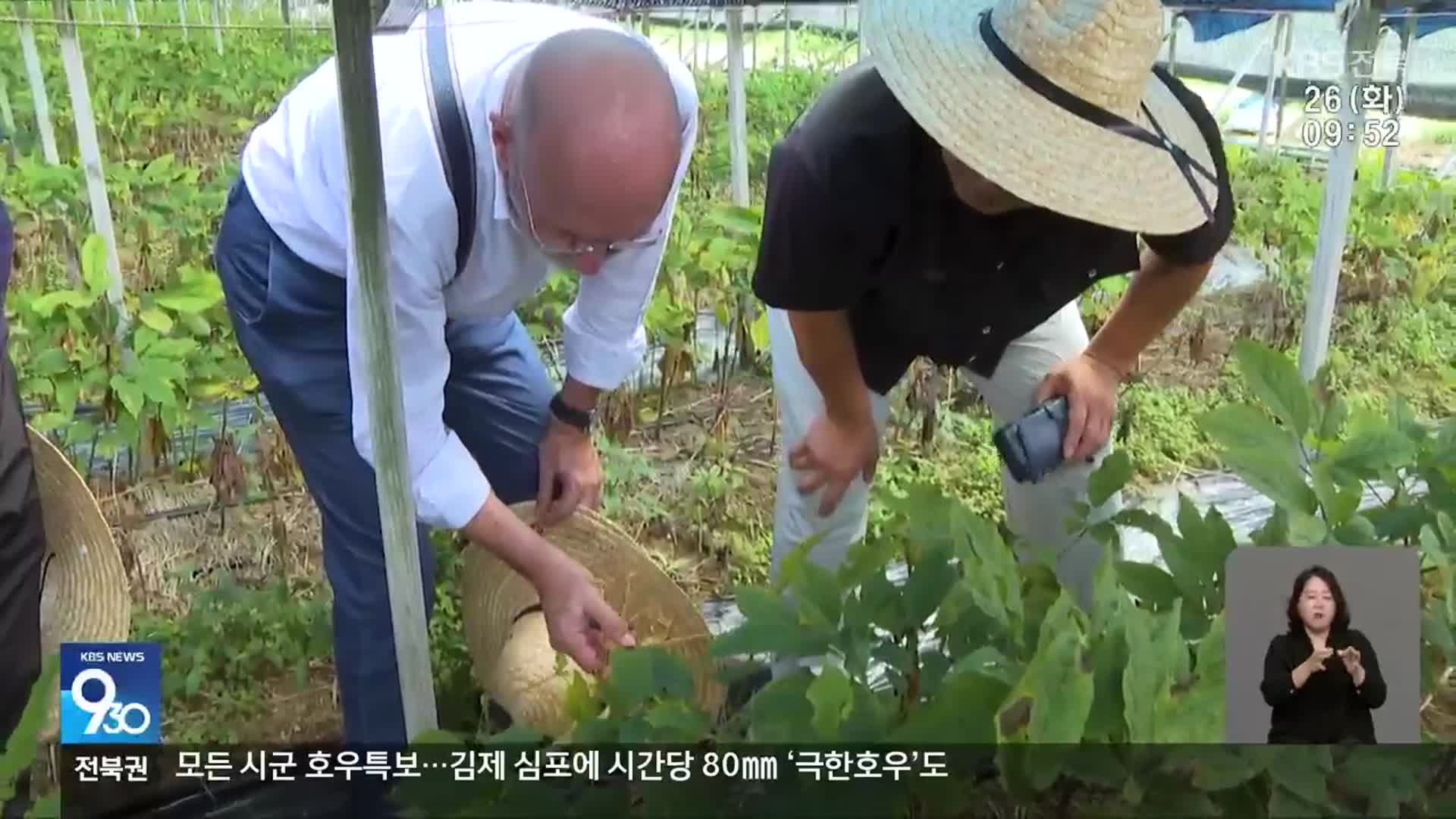 [전북의 창] 진안홍삼 유럽 시장 공략 ‘속도’…“이탈리아에 홍보관 개점”