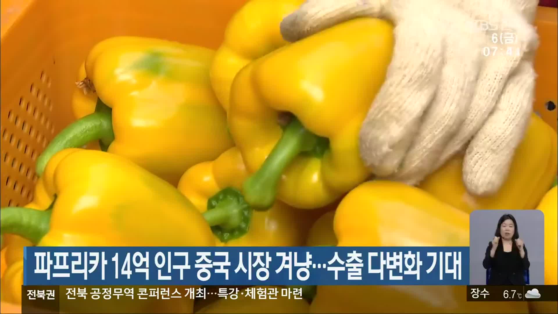 파프리카 14억 인구 중국 시장 겨냥…수출 다변화 기대