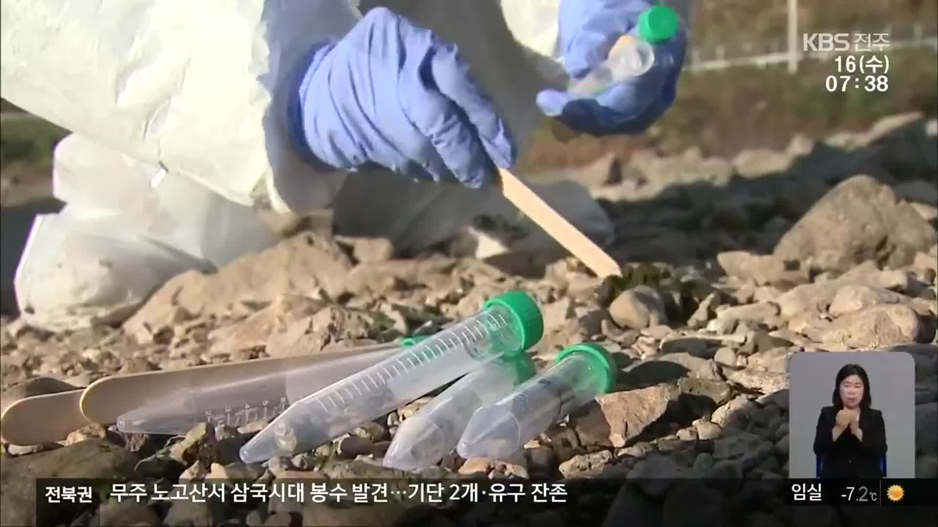 임실 종계농장 ‘고병원성 AI’ 확진…올해 전북서 3번째