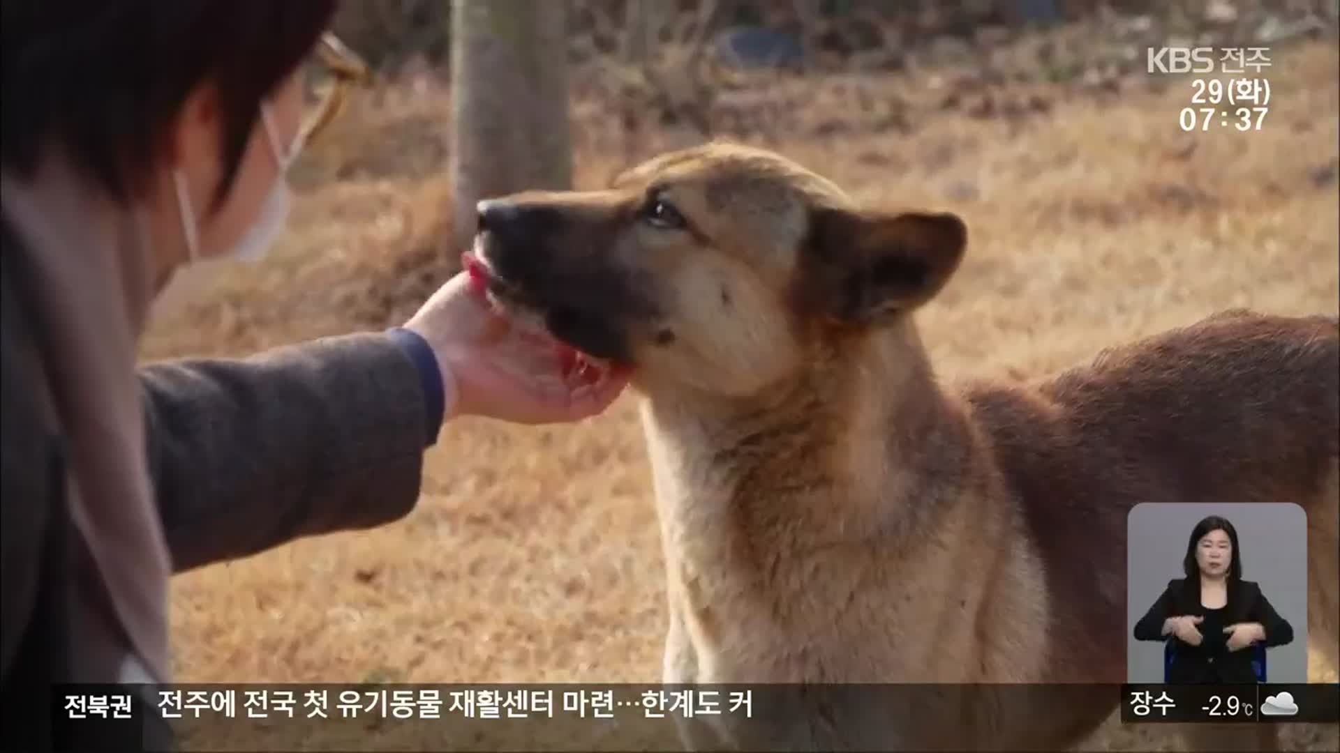 전국 첫 유기동물 재활센터…한계도 커