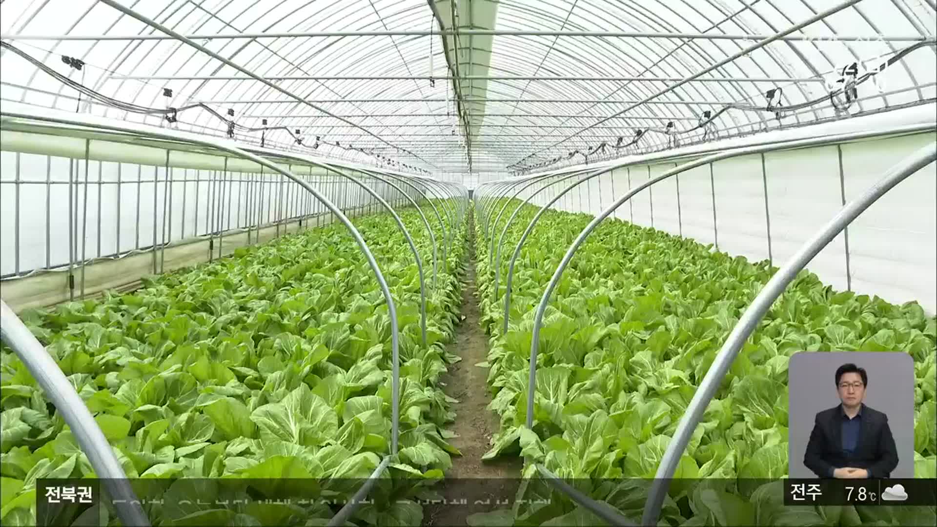 [전북의 창] 아열대 채소 재배…겨울철 틈새 시장 공략