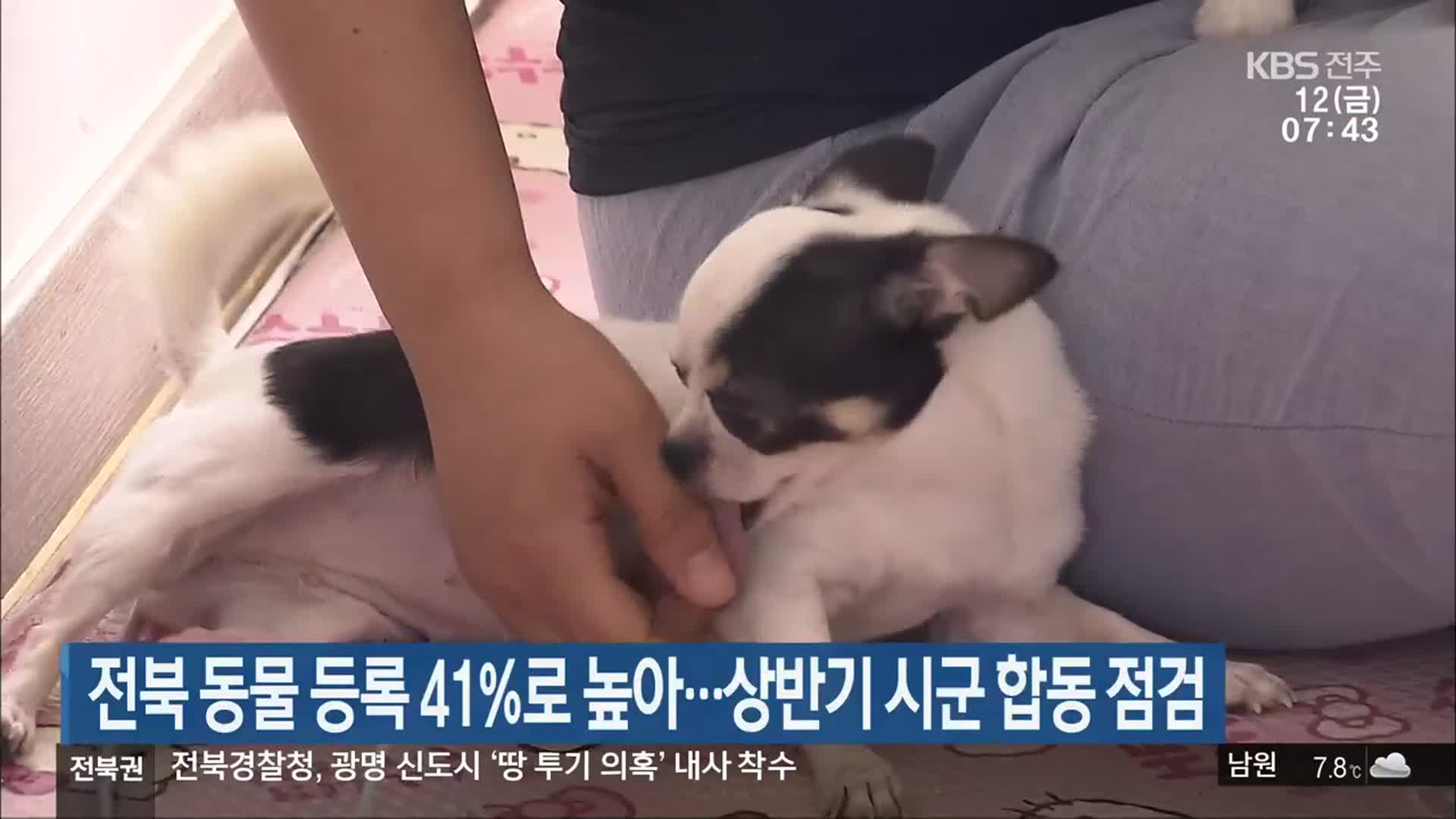 전북 동물 등록 41%로 높아…상반기 시군 합동 점검