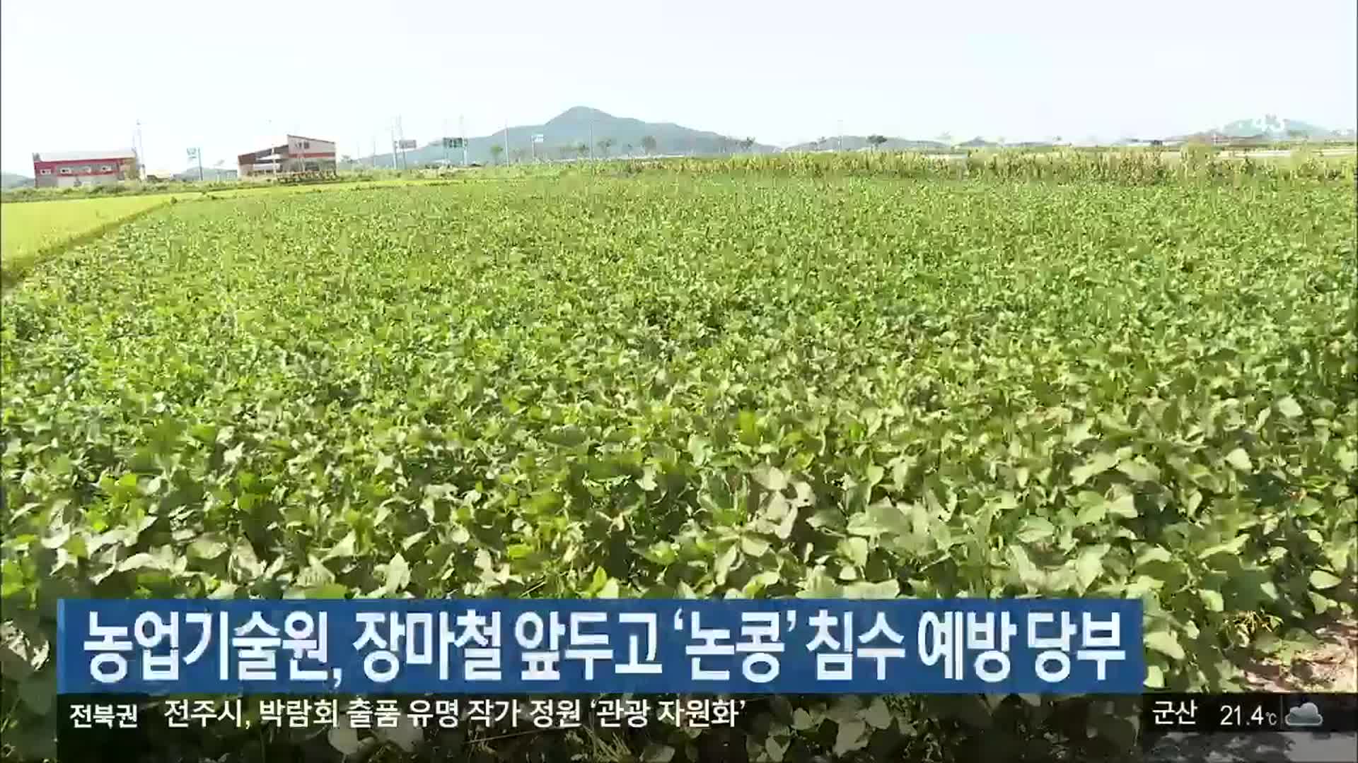 농업기술원, 장마철 앞두고 ‘논콩’ 침수 예방 당부