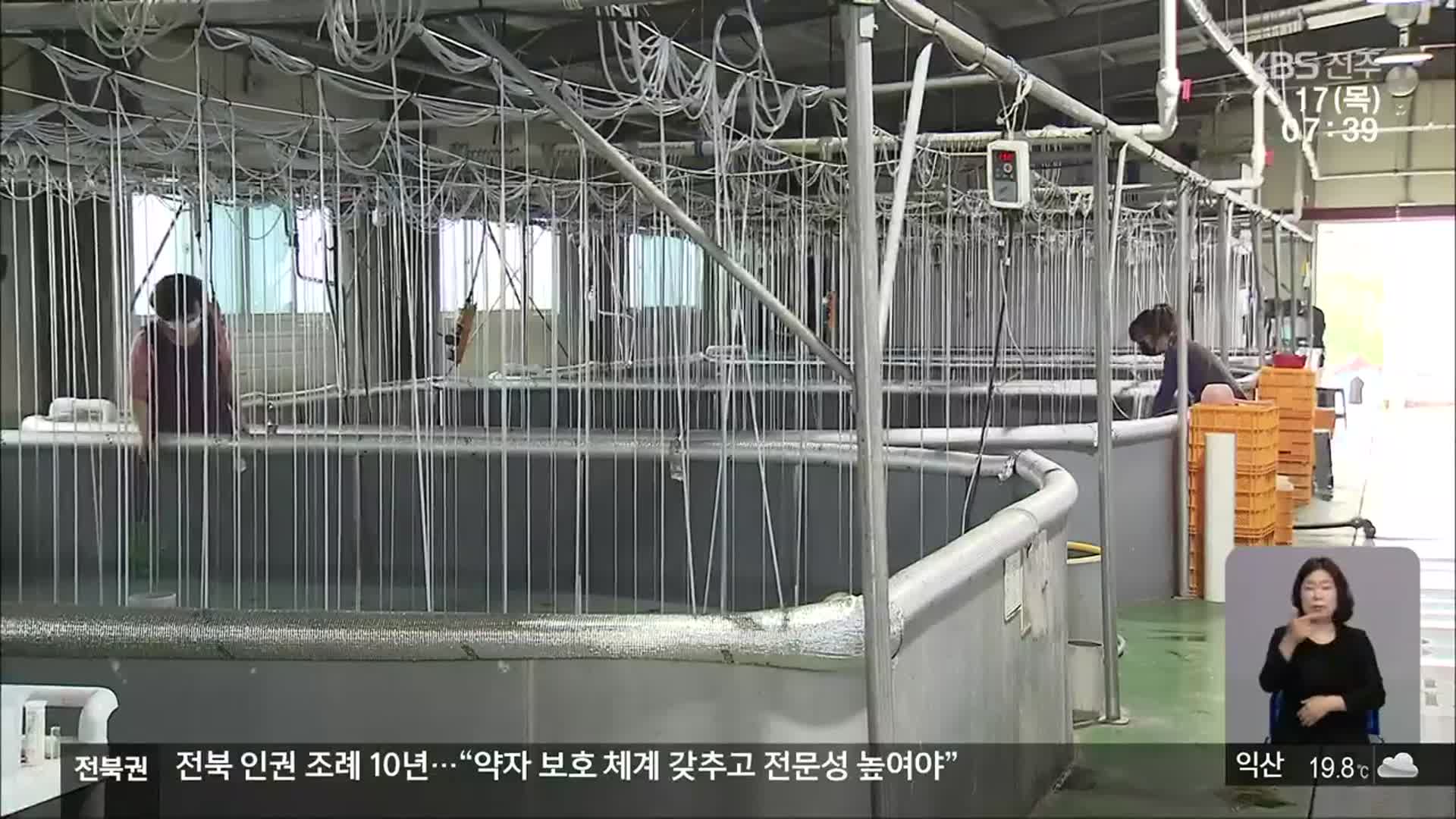 [전북의 창] 토종 미꾸리 대량 생산…무환수 양식 특허