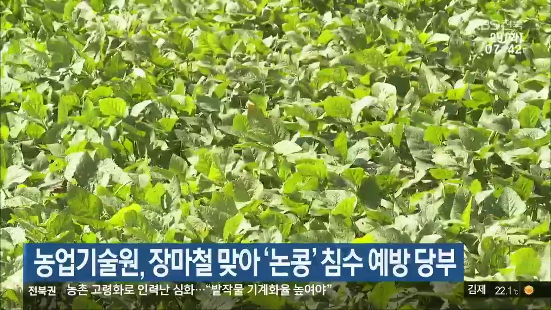 농업기술원, 장마철 맞아 ‘논콩’ 침수 예방 당부