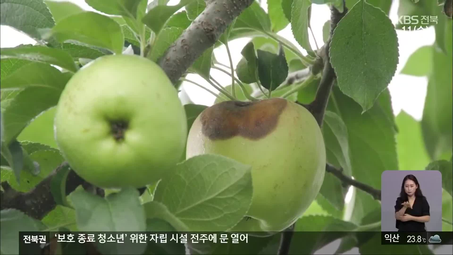 덥고 습한 날씨 이어져…농작물 관리 ‘주의’