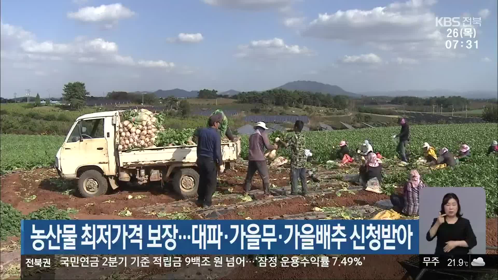 농산물 최저가격 보장…대파·가을무·가을배추 신청받아