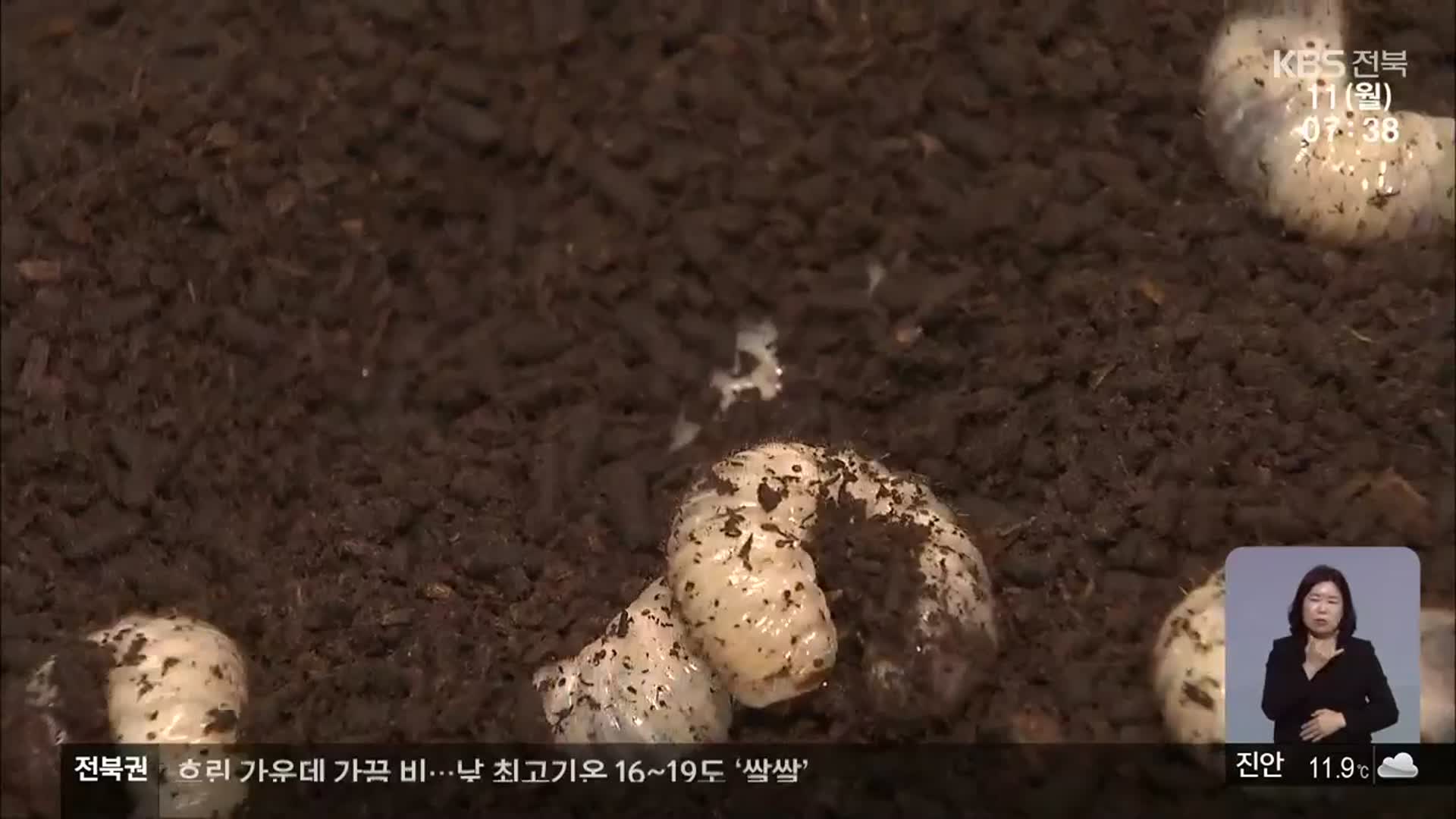 [전북의 창] 곤충산업 육성사업 선정…사육 농가 지원