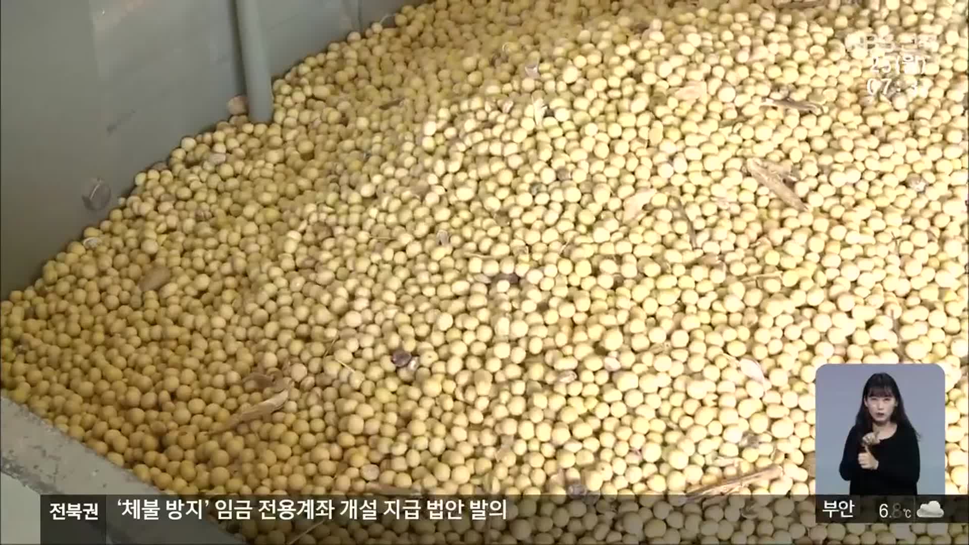 [전북의 창] 콩 선별장 개방…노동력 절감·상품성 향상