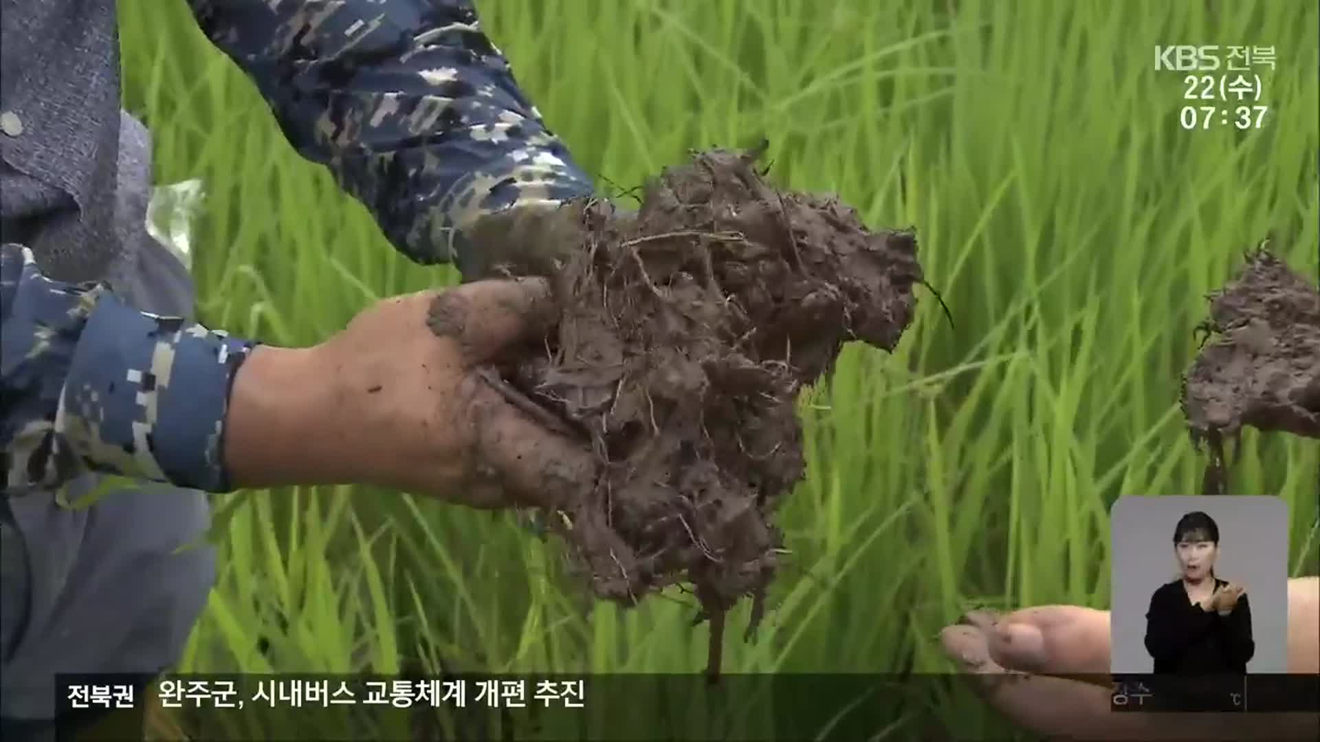 [흙, 묻다]② 흙에 탄소 가두는 ‘무경운 농법’ 주목