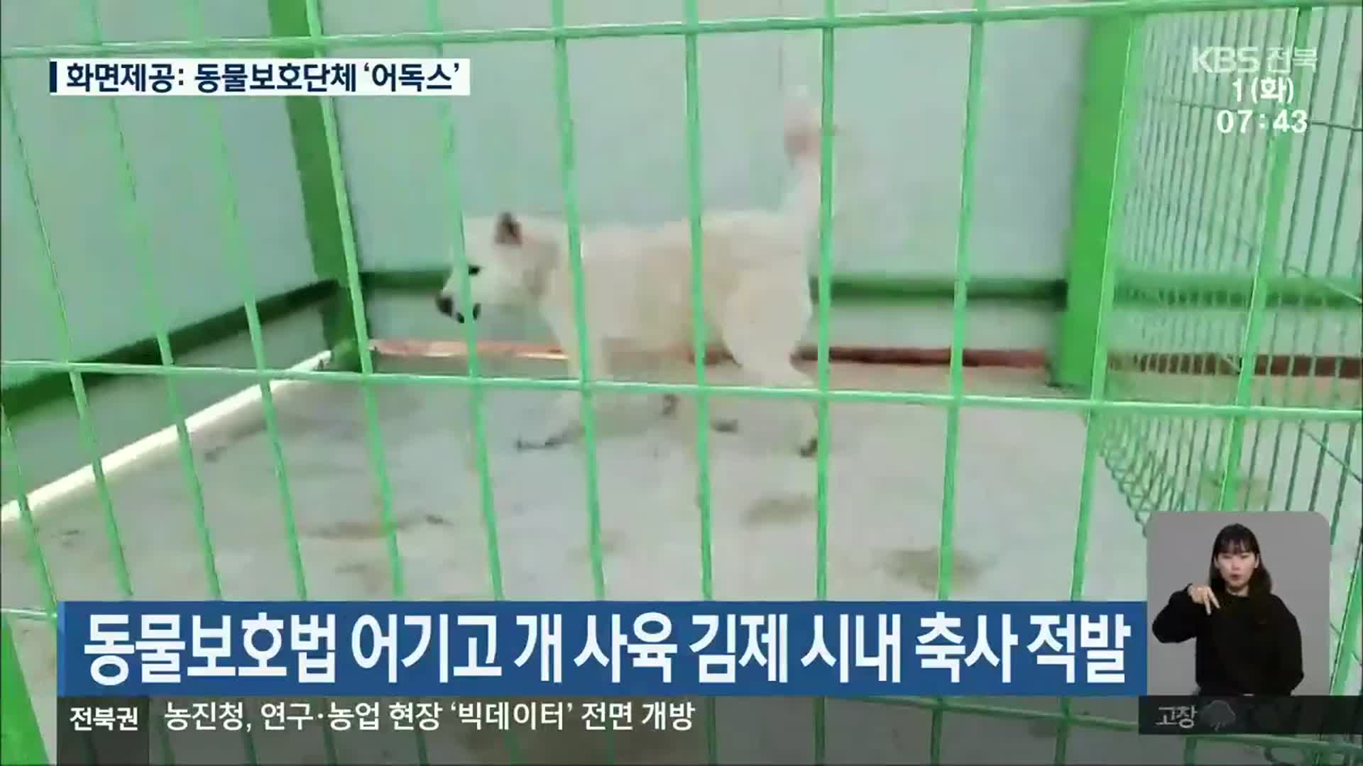 동물보호법 어기고 개 사육 김제 시내 축사 적발