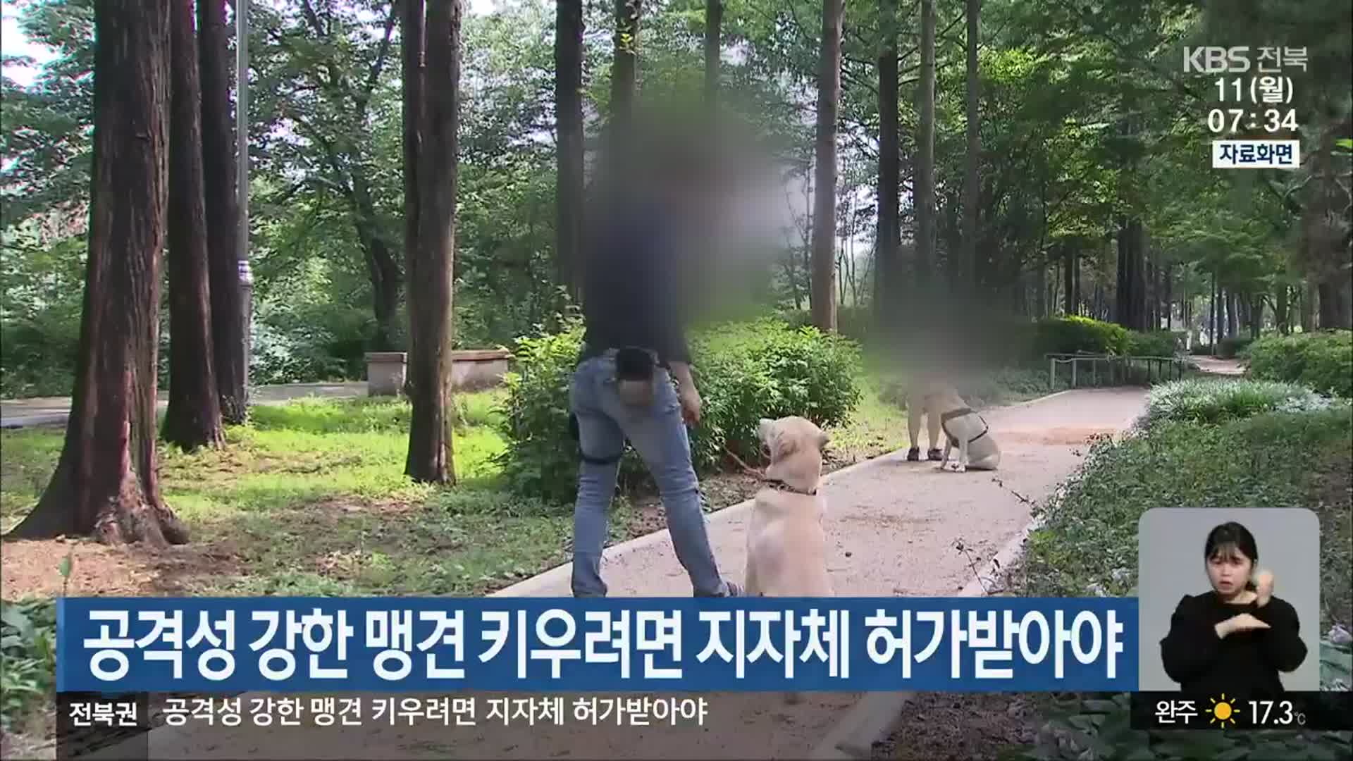 공격성 강한 맹견 키우려면 지자체 허가받아야