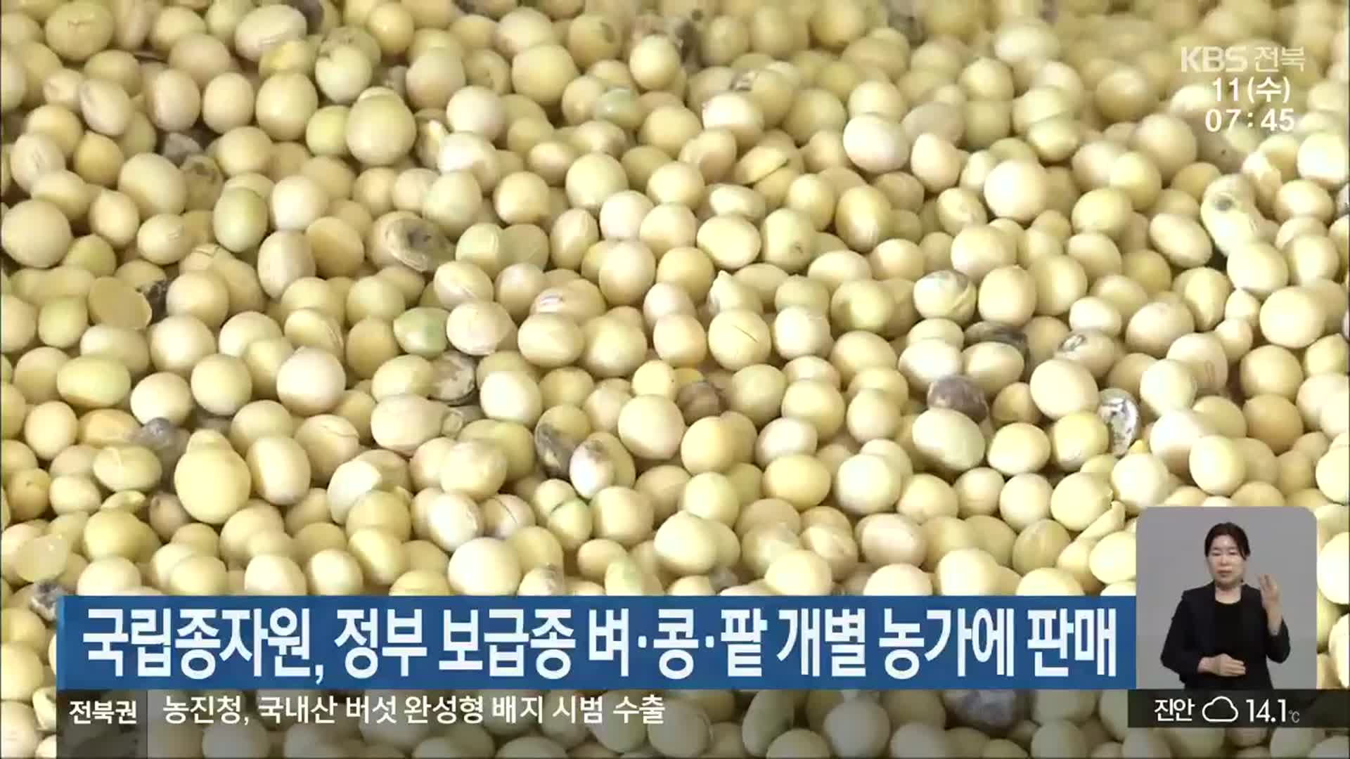 국립종자원, 정부 보급종 벼·콩·팥 개별 농가에 판매
