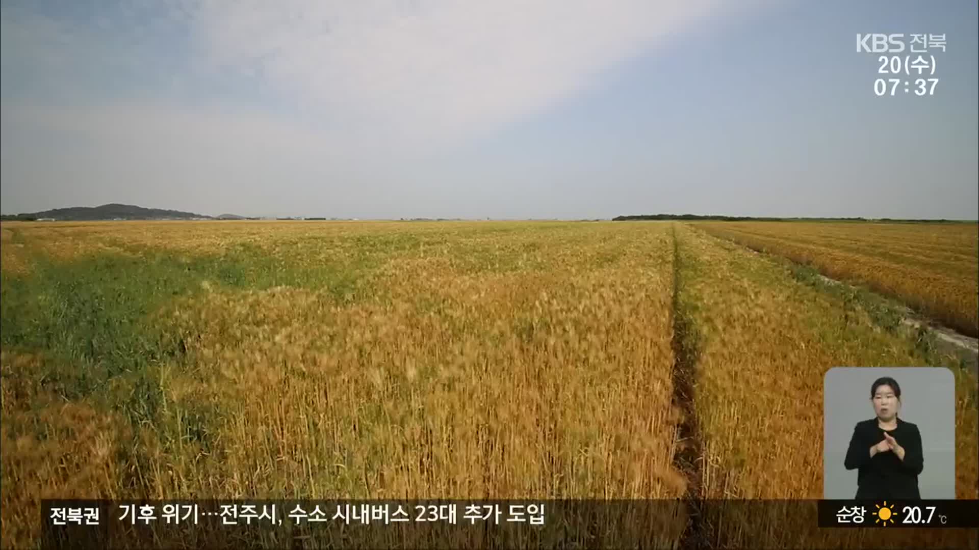 ‘식량안보’ 시대…밀 자급률 10% 달성하려면?