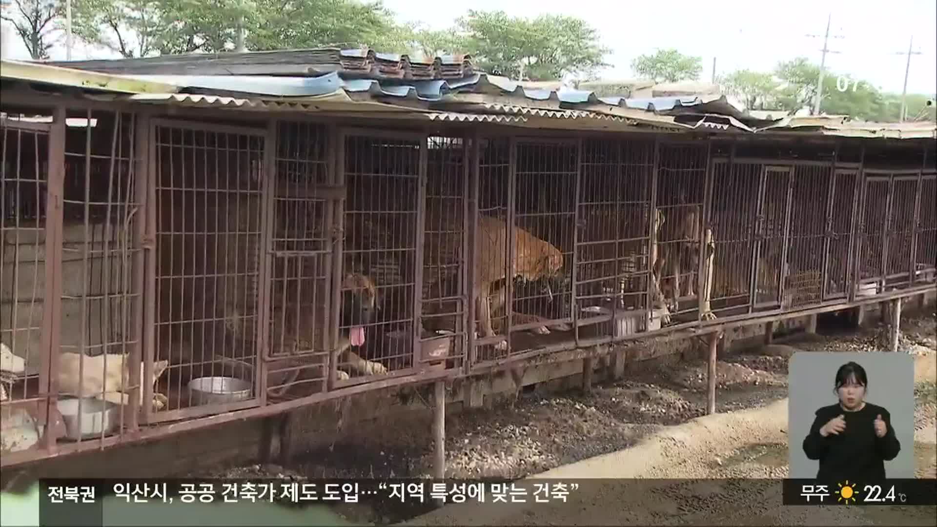 ‘개 식용’ 도축장 또 적발…“법적 처벌 한계”