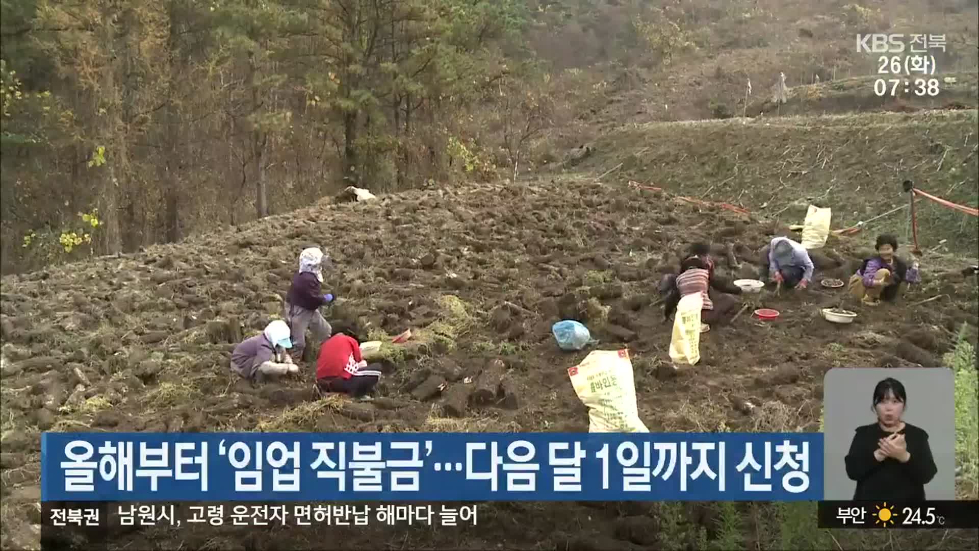 올해부터 ‘임업 직불금’…다음 달 1일까지 신청