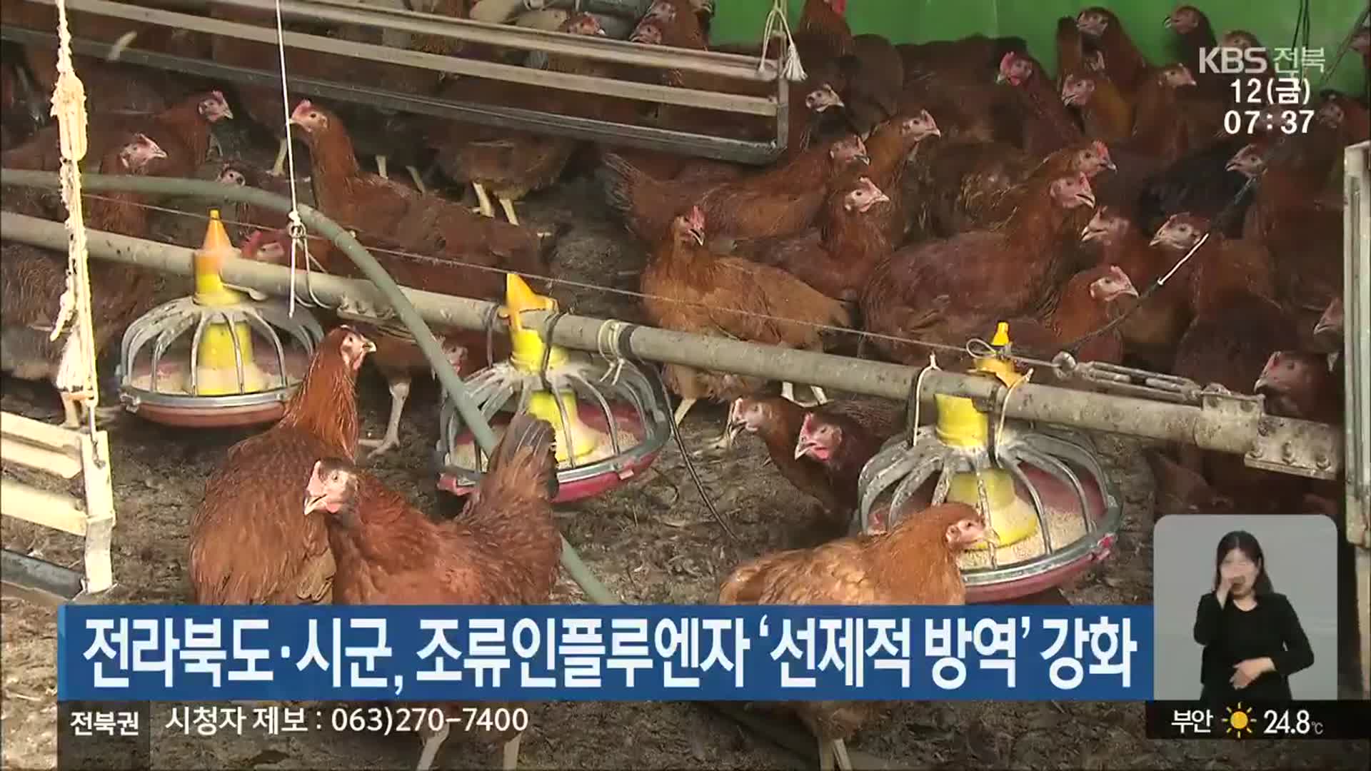 전라북도·시군, 조류인플루엔자 ‘선제적 방역’ 강화