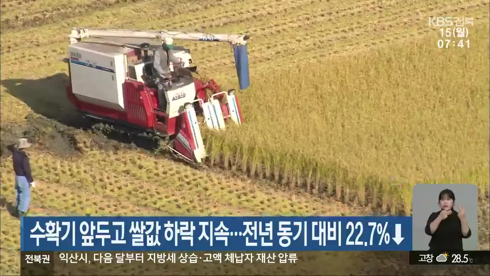 수확기 앞두고 쌀값 하락 지속…전년 동기 대비 22.7%↓