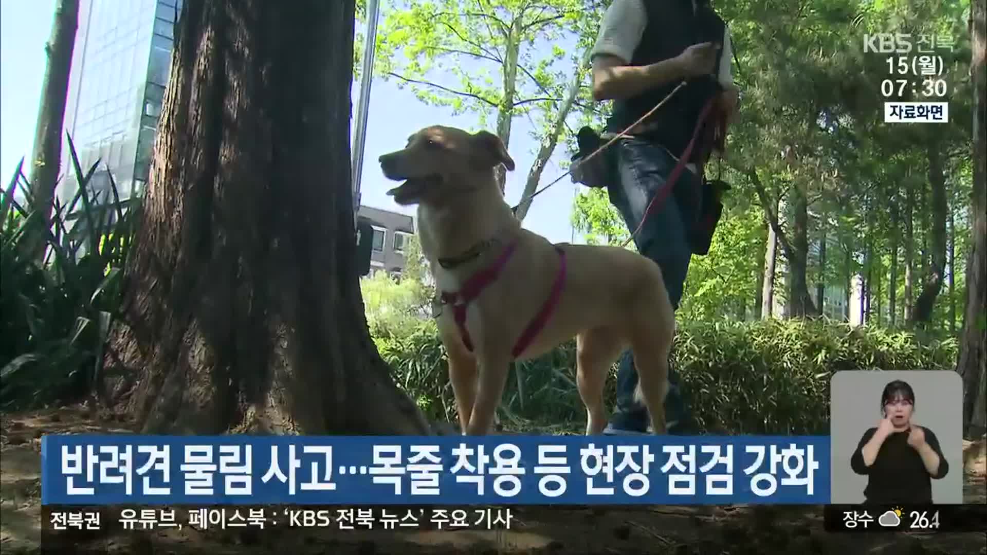 반려견 물림 사고…목줄 착용 등 현장 점검 강화