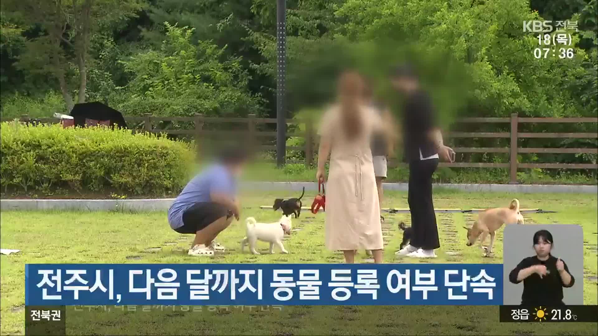 전주시, 다음 달까지 동물 등록 여부 단속