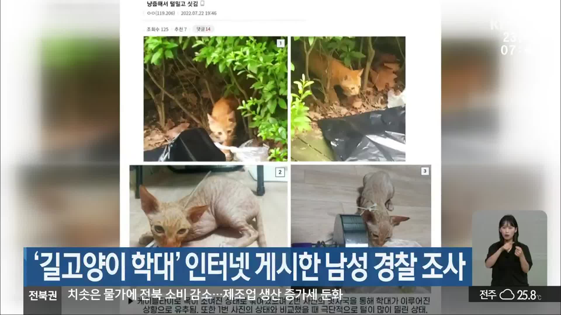 ‘길고양이 학대’ 인터넷 게시한 남성 경찰 조사