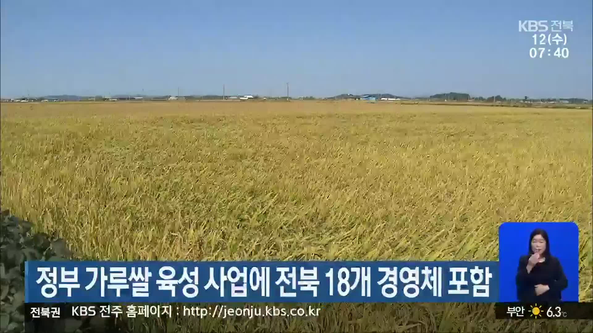 정부 가루쌀 육성 사업에 전북 18개 경영체 포함