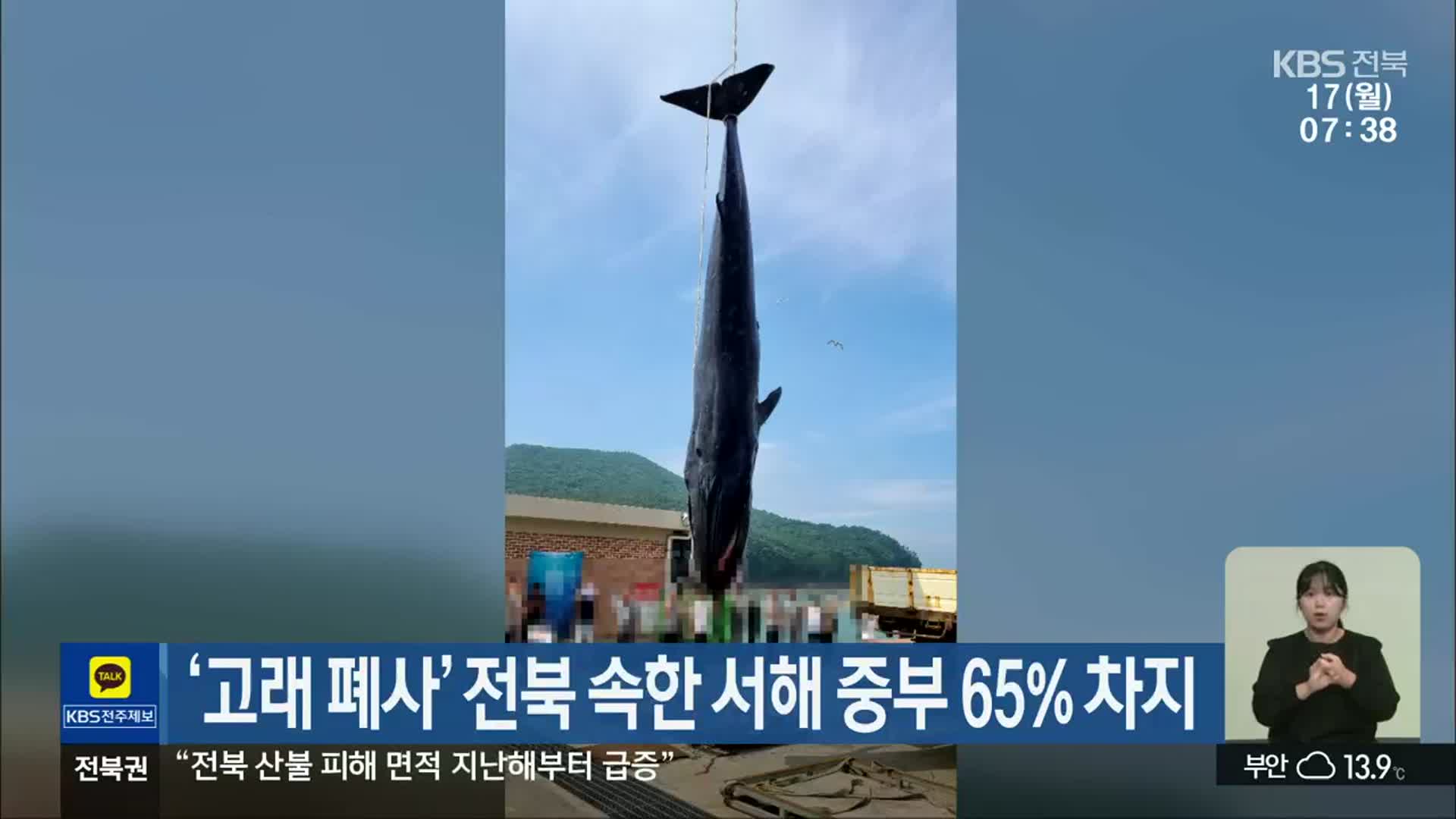 ‘고래 폐사’ 전북 속한 서해 중부 65% 차지