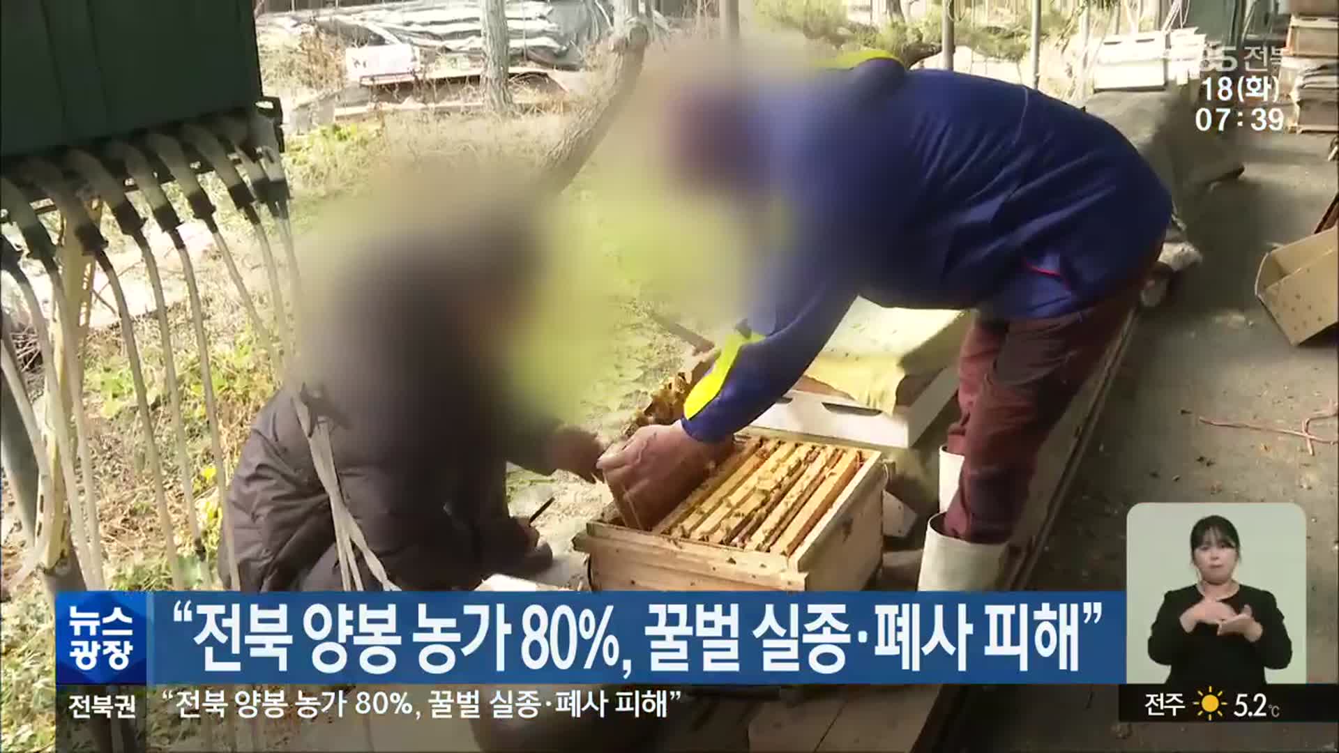 “전북 양봉 농가 80%, 꿀벌 실종·폐사 피해”