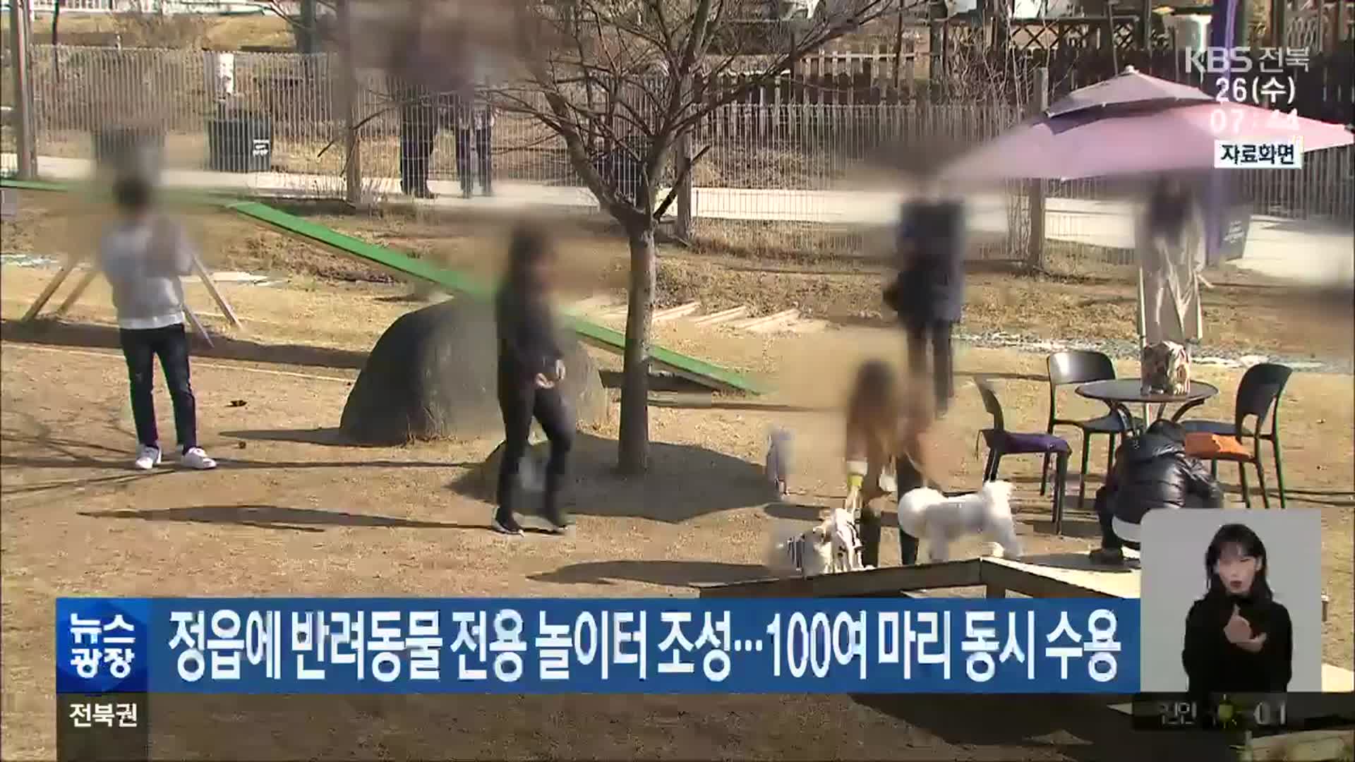 정읍에 반려동물 전용 놀이터 조성…100여 마리 동시 수용