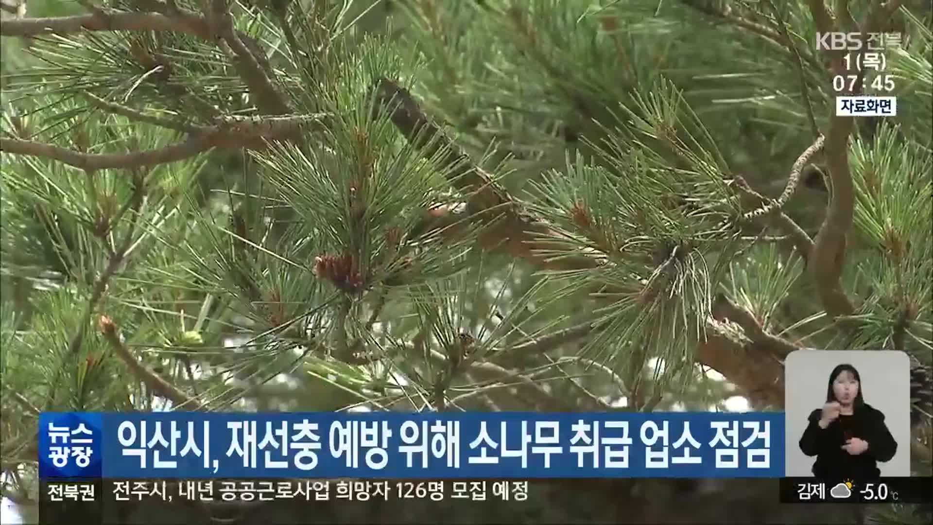 익산시, 재선충 예방 위해 소나무 취급 업소 점검