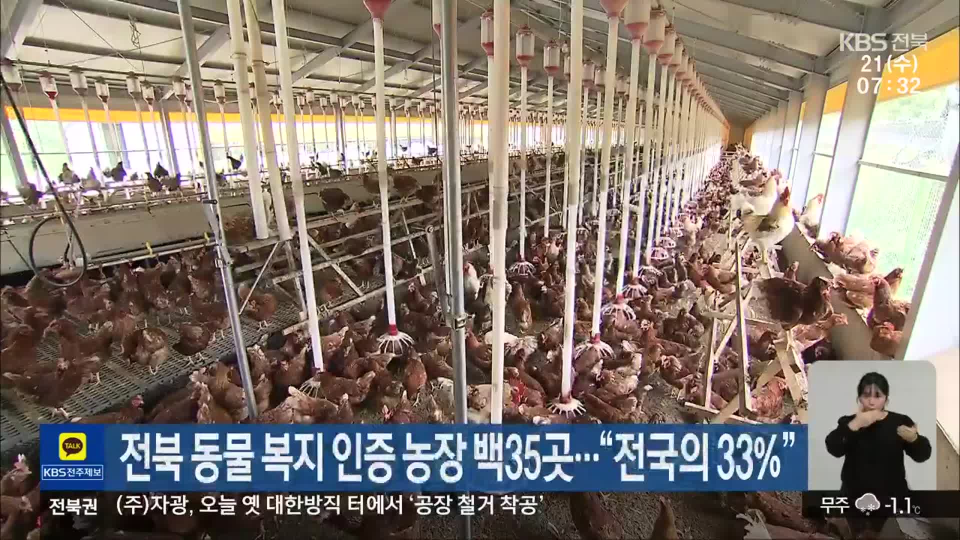 전북 동물 복지 인증 농장 백35곳…“전국의 33%”