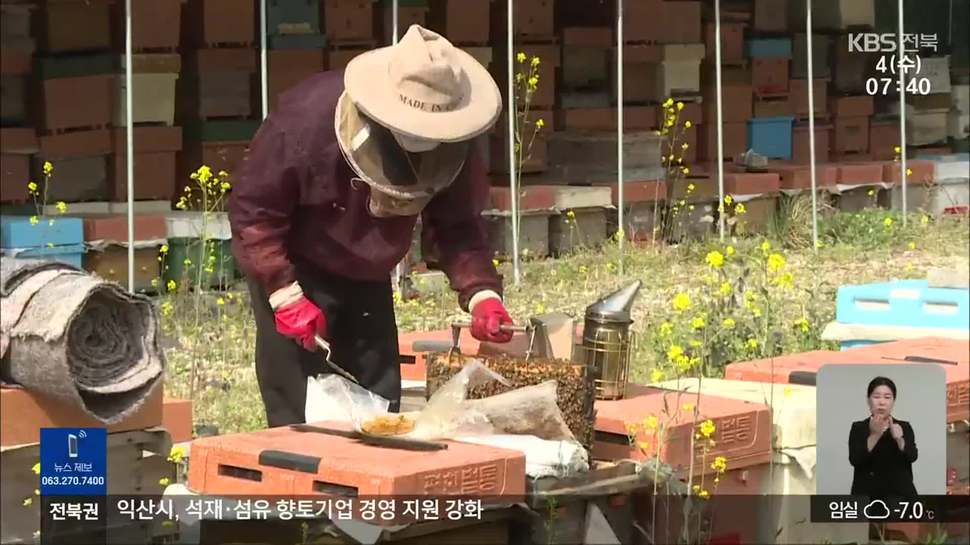 [전북의 창] ‘사라진 꿀벌’…양봉 농가 구하기