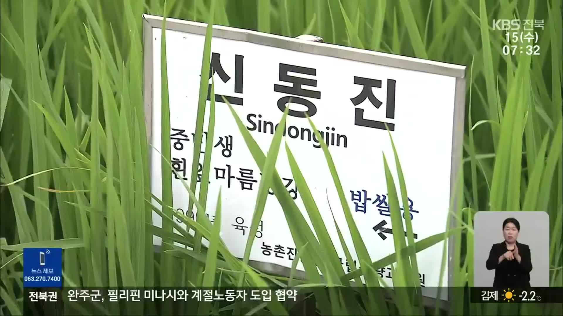 신동진 벼 정부 수매·보급 중단…농민 ‘반발’