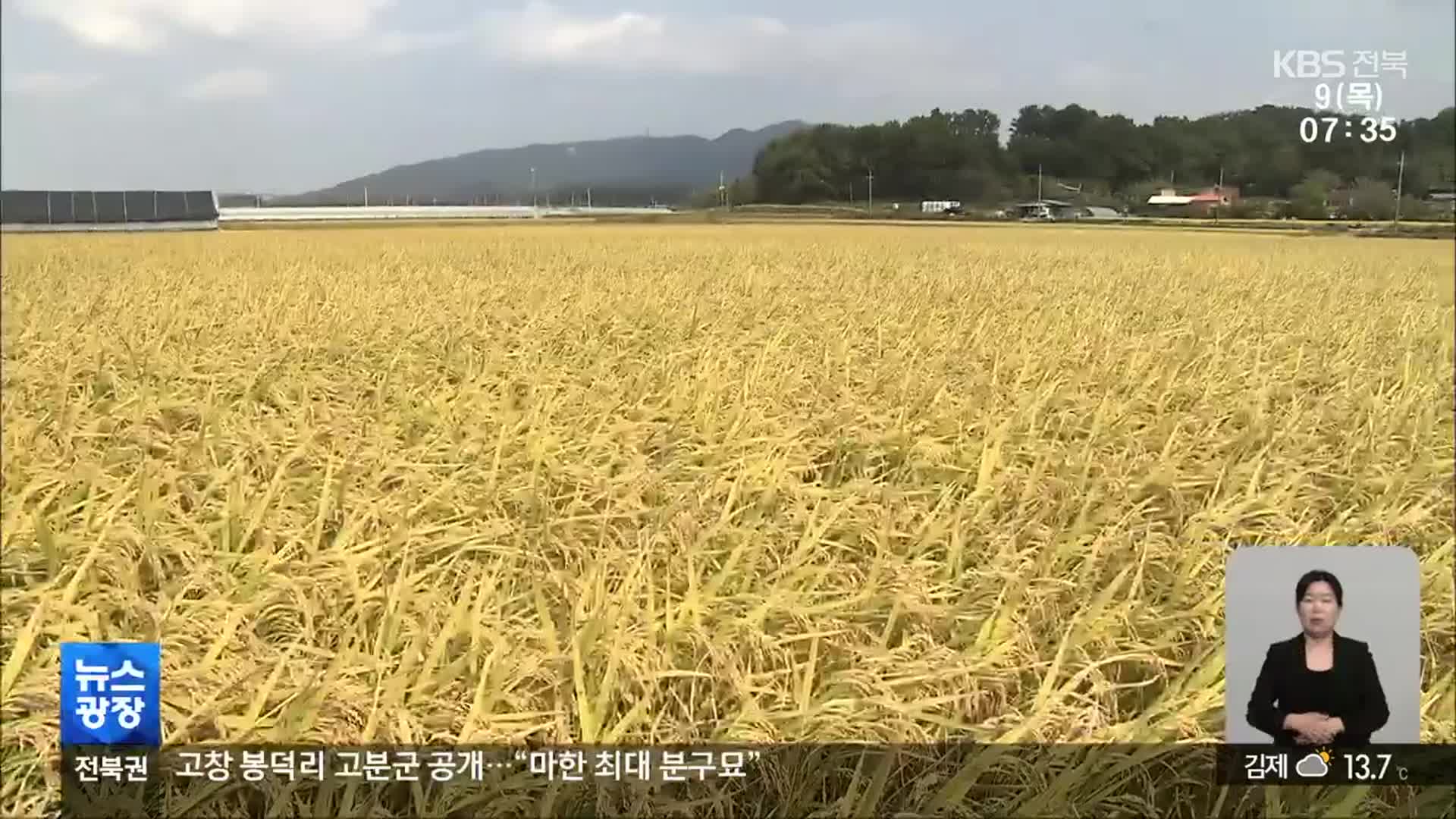 올해 쌀 생산량 얼마나 줄어들까?