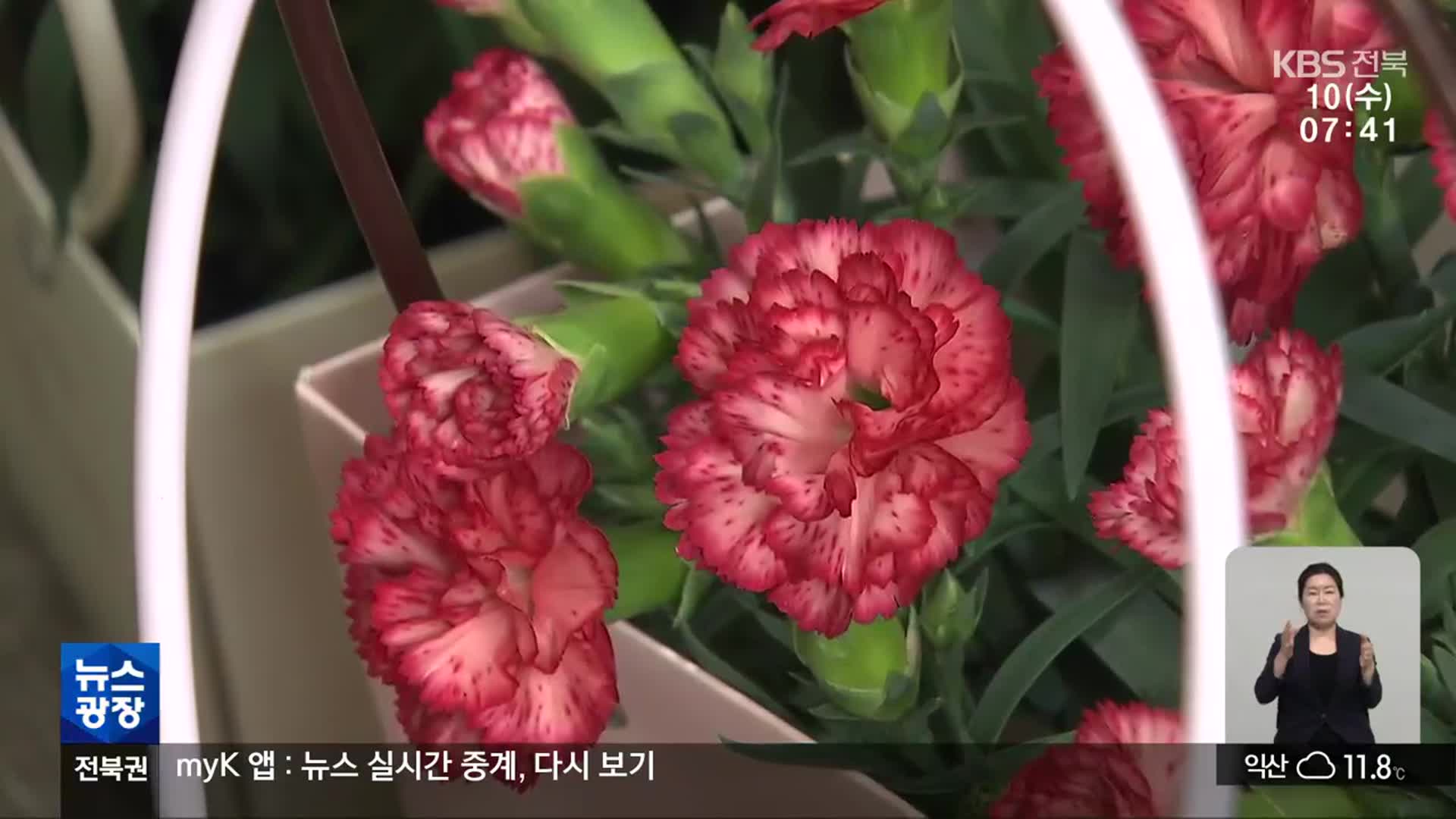 가정의 달 꽃 특수 실종…농가·꽃집 ‘한숨’