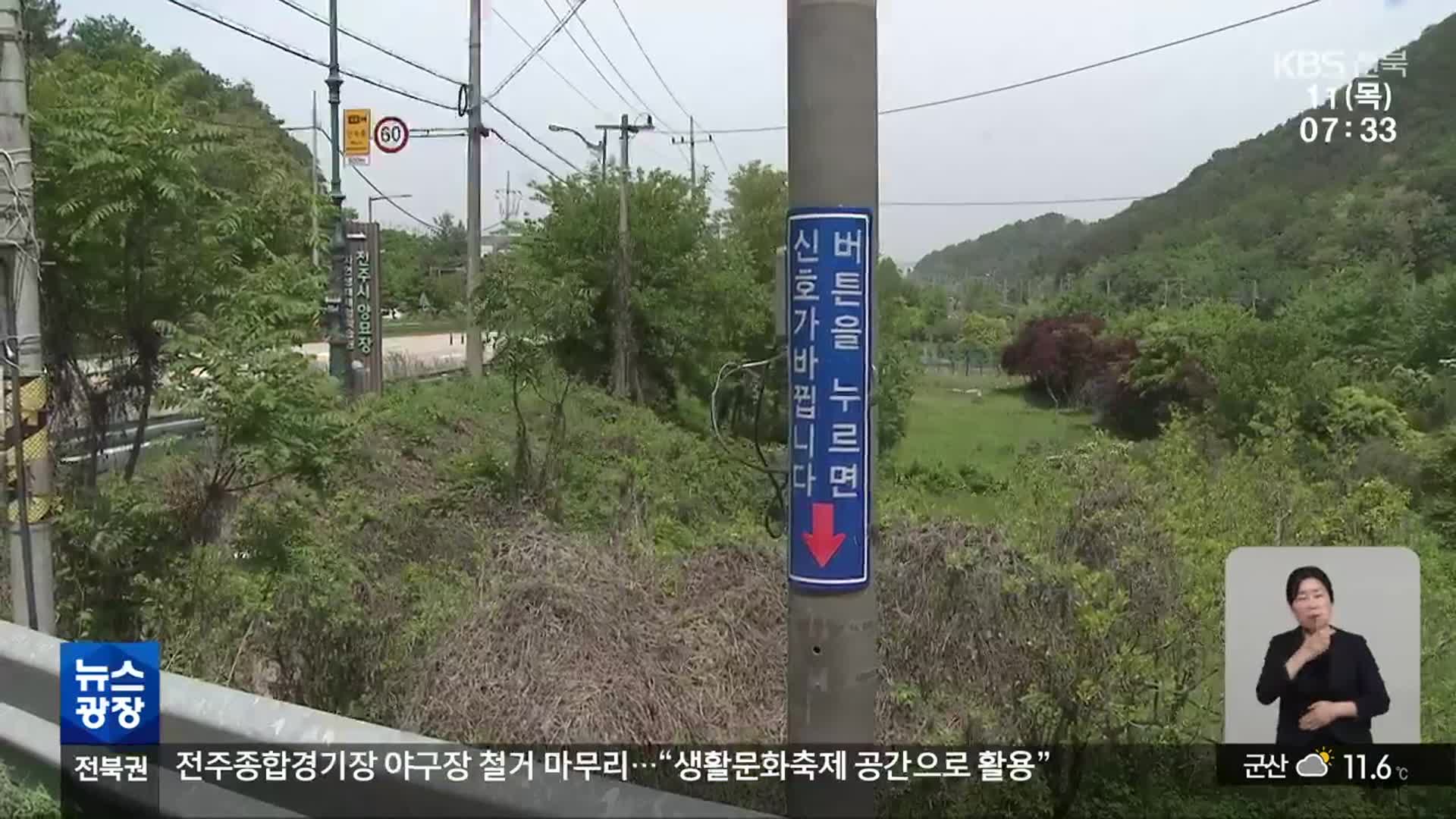 ‘먹통 보행자 신호기 방치’…길 건너던 관광객 사고