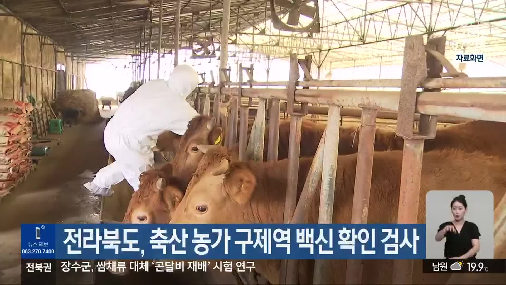 전라북도, 축산 농가 구제역 백신 확인 검사