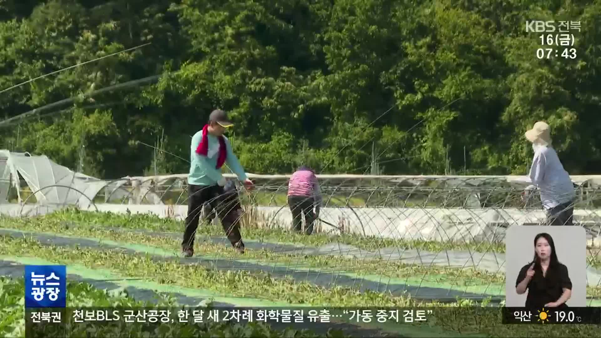 [전북의 창] 진안군, 집중호우·우박 피해 복구 ‘구슬땀’