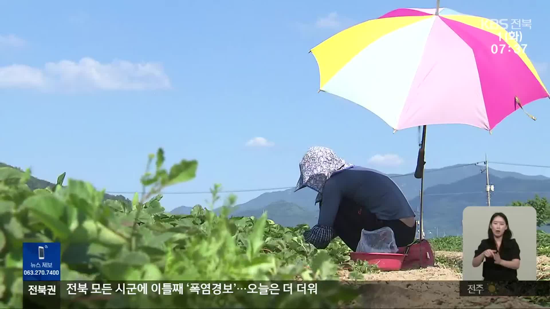 전북서 올해 첫 온열 질환 추정 사망자 발생…“무더위 주의”