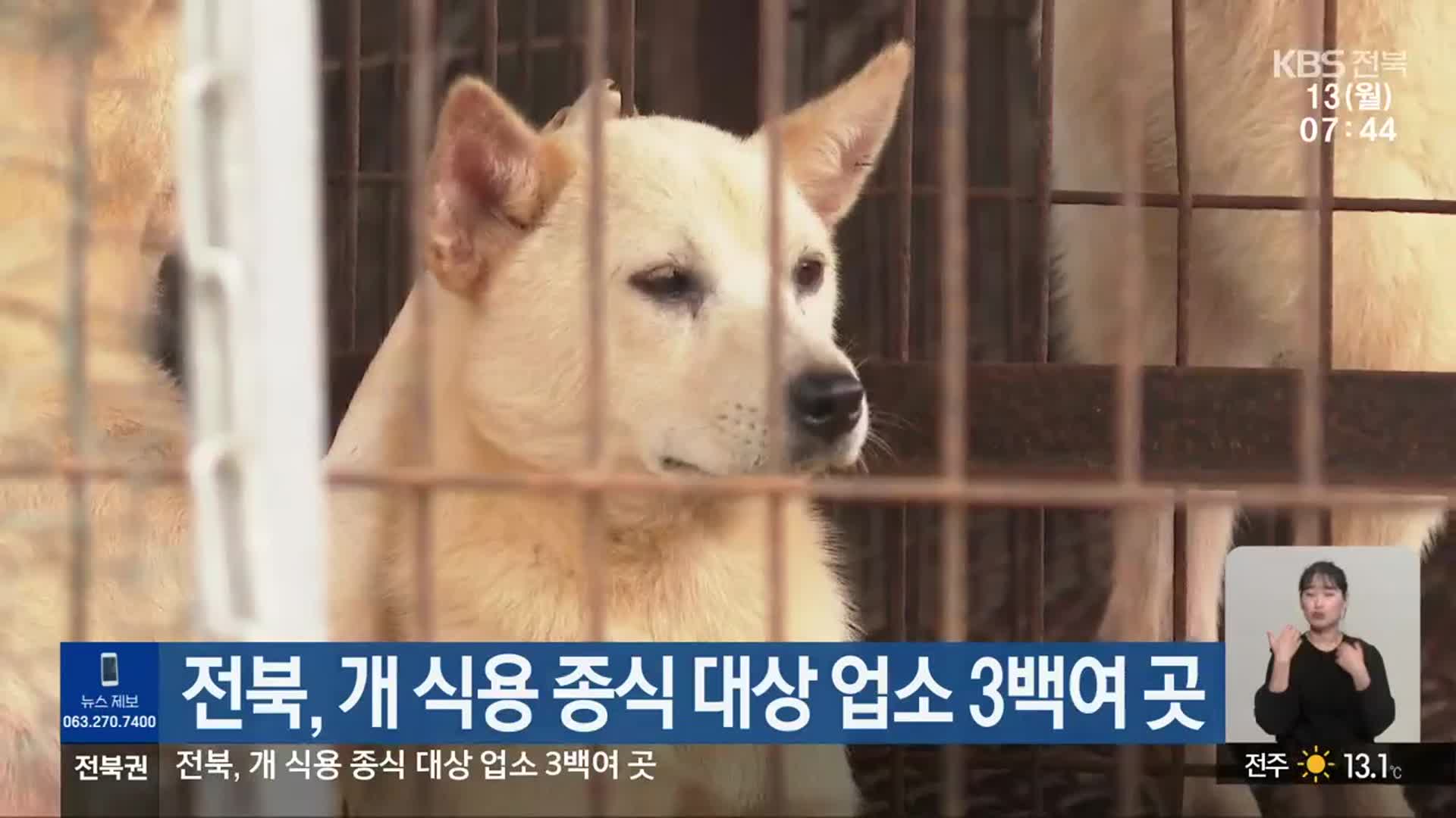 전북, 개 식용 종식 대상 업소 3백여 곳