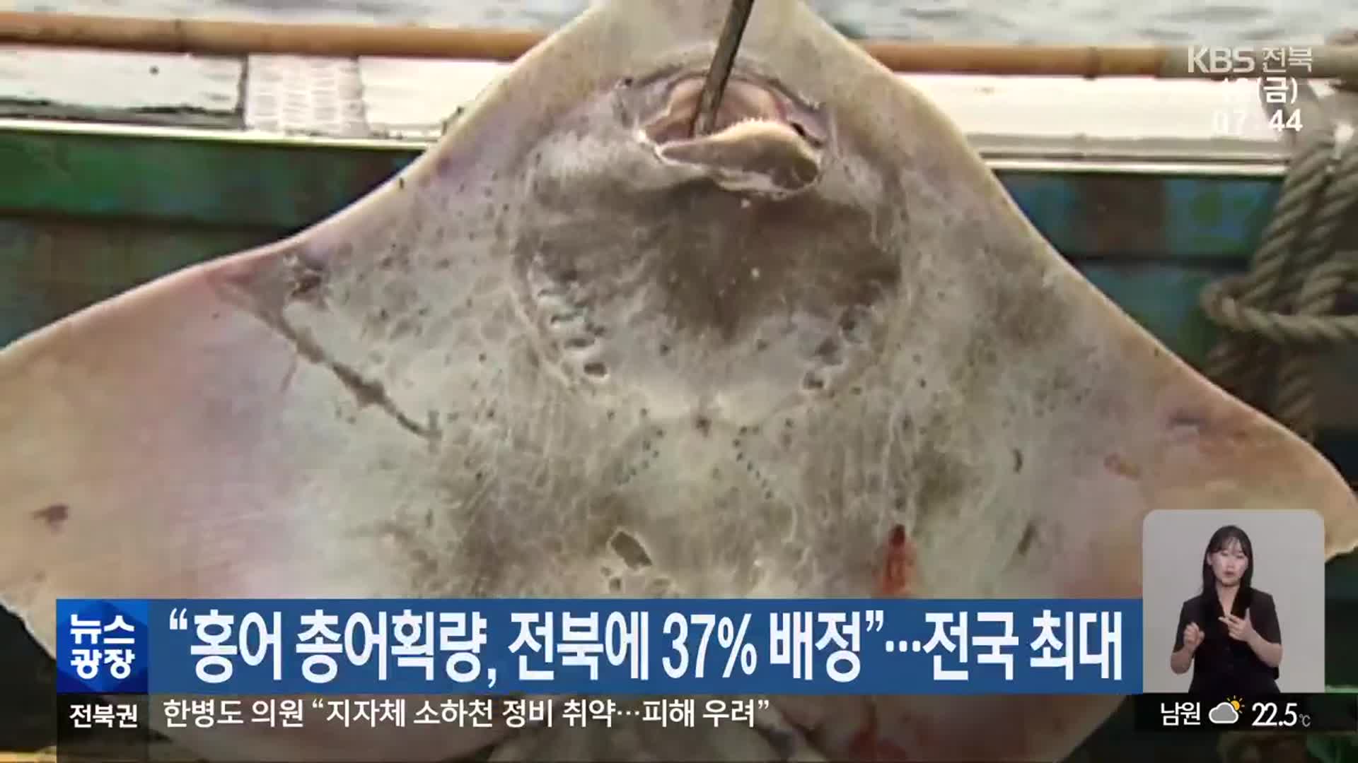 “홍어 총어획량, 전북에 37% 배정”…전국 최대