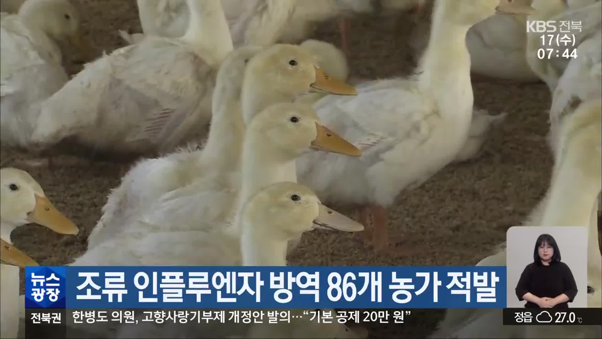 전북 조류 인플루엔자 방역 86개 농가 적발