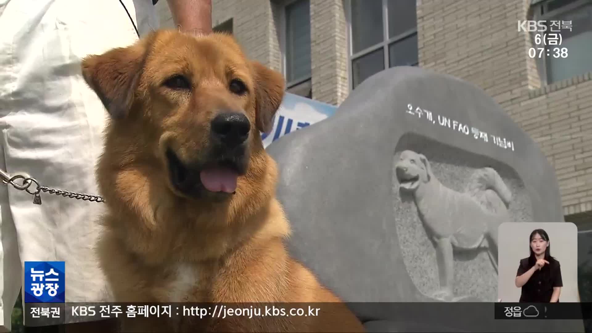 오수개 국제 기구 품종 인증…임실 반려 관광 중심지 주목