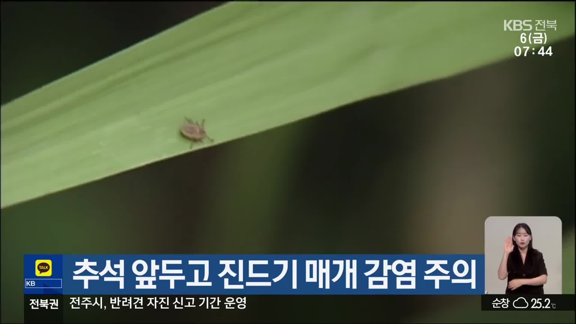 추석 앞두고 진드기 매개 감염 주의