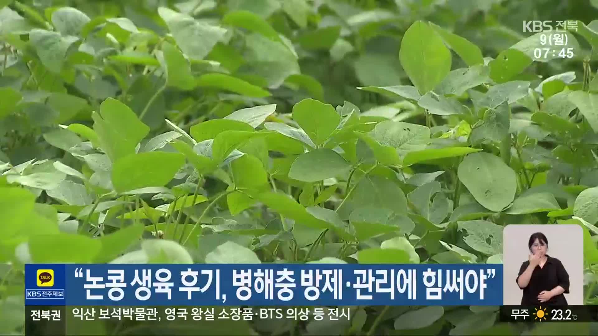 “논콩 생육 후기, 병해충 방제·관리에 힘써야”