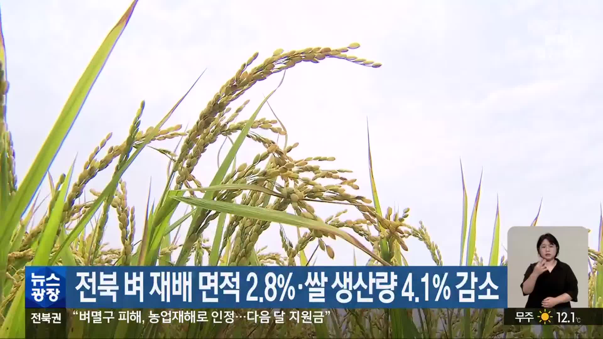 전북 벼 재배 면적 2.8%·쌀 생산량 4.1% 감소