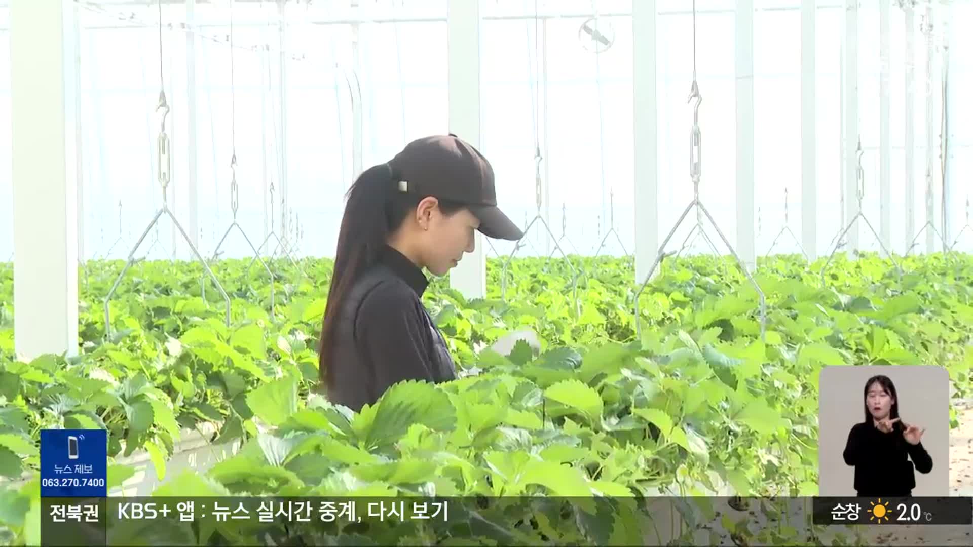 [전북의 창] “청년 창업 살리는 ‘스마트팜’”…김제시, ‘청년 스마트팜 사업’ 선정