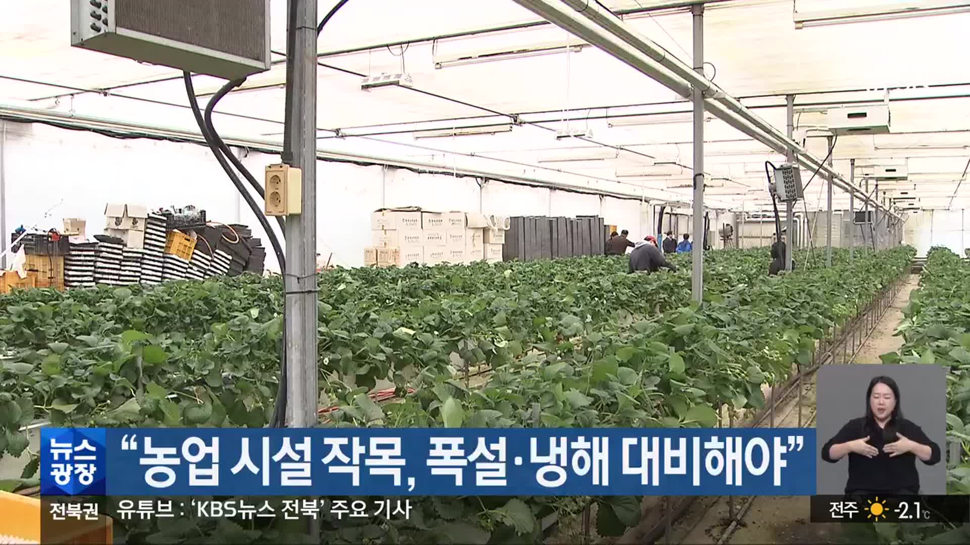 “농업 시설 작목, 폭설·냉해 대비해야”