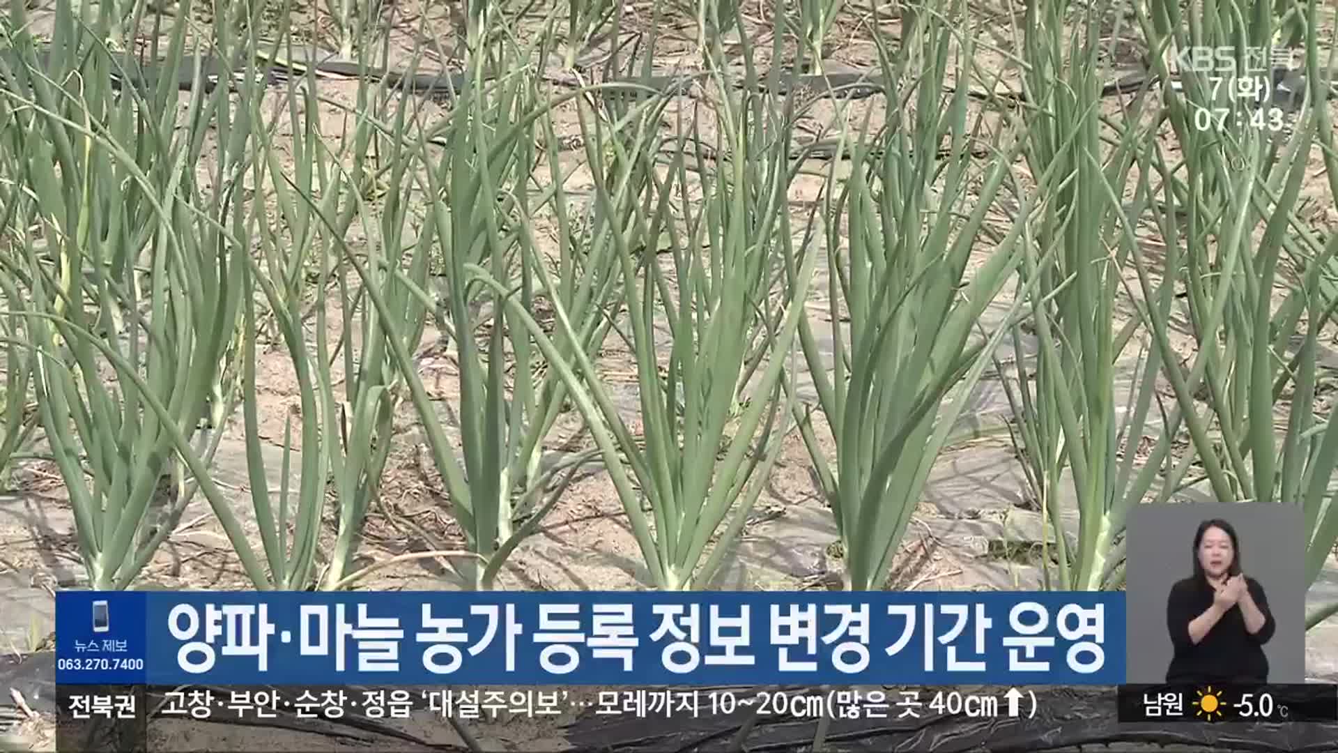 양파·마늘 농가 등록 정보 변경 기간 운영