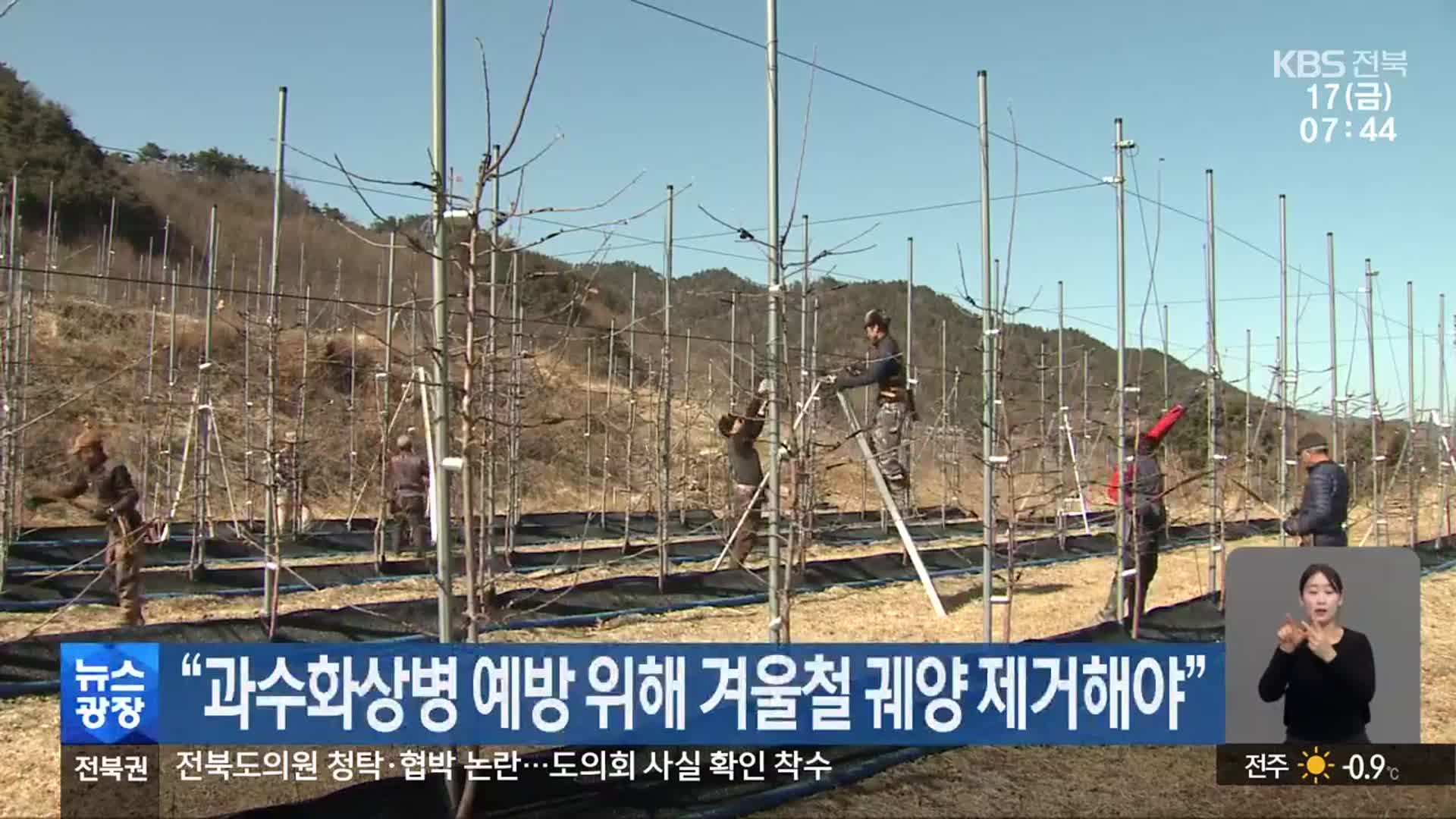 “과수화상병 예방 위해 겨울철 궤양 제거해야”